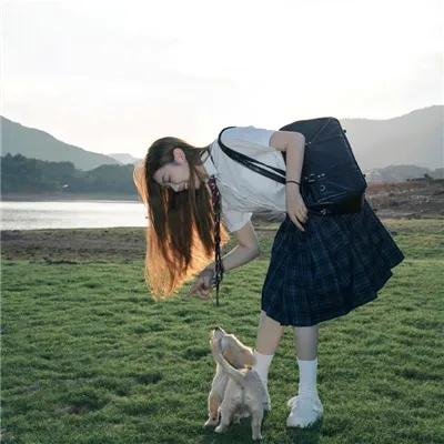 蜂蜜与四叶草第二季